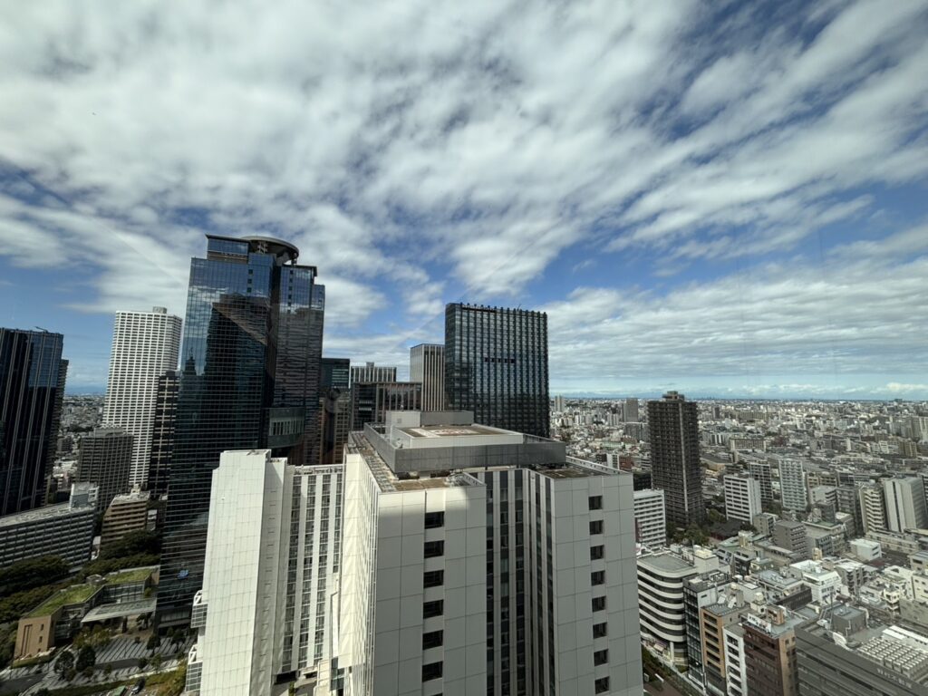 The view from the 24th floor where Shonan Beauty Clinic Shinjuku Main Branch is located