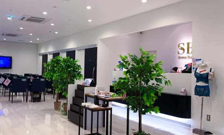 Inside Shonan Beauty Clinic Shinbashi Ginzaguchi