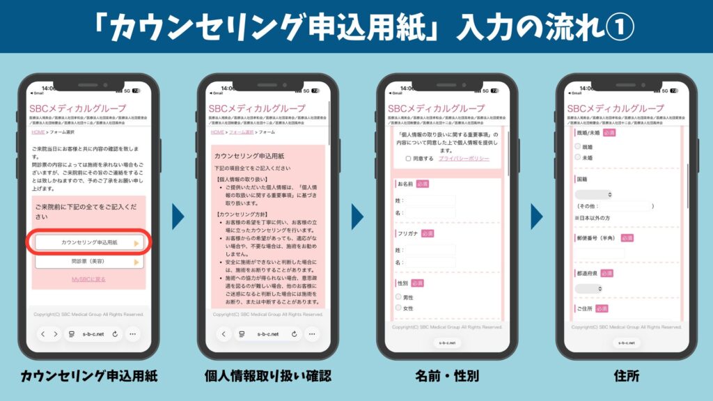 Counseling application input fields and flow1