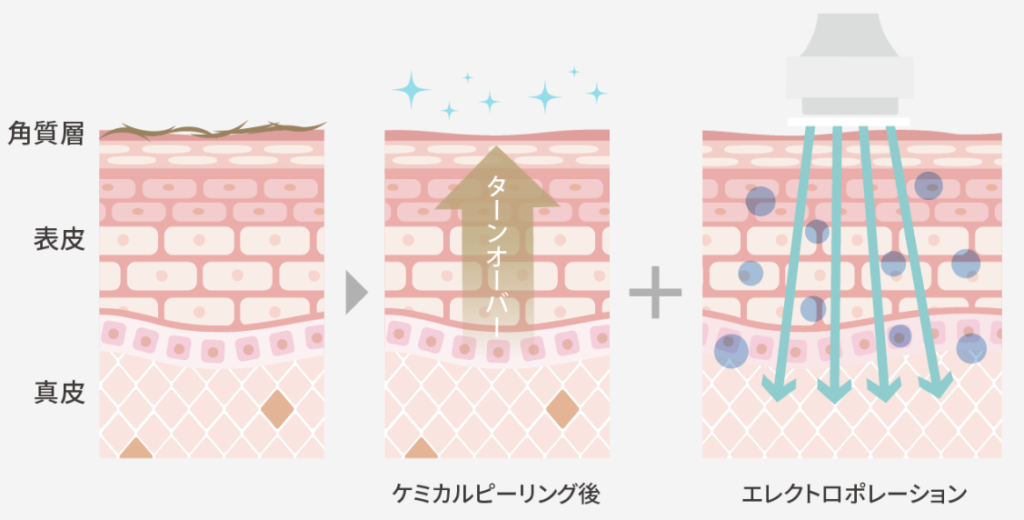 Gorilla Clinic Skin Treatment