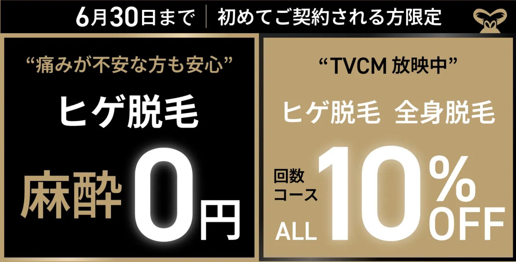 2026年最新】ゴリラクリニックの新春キャンペーンは本当にお得？9つの 