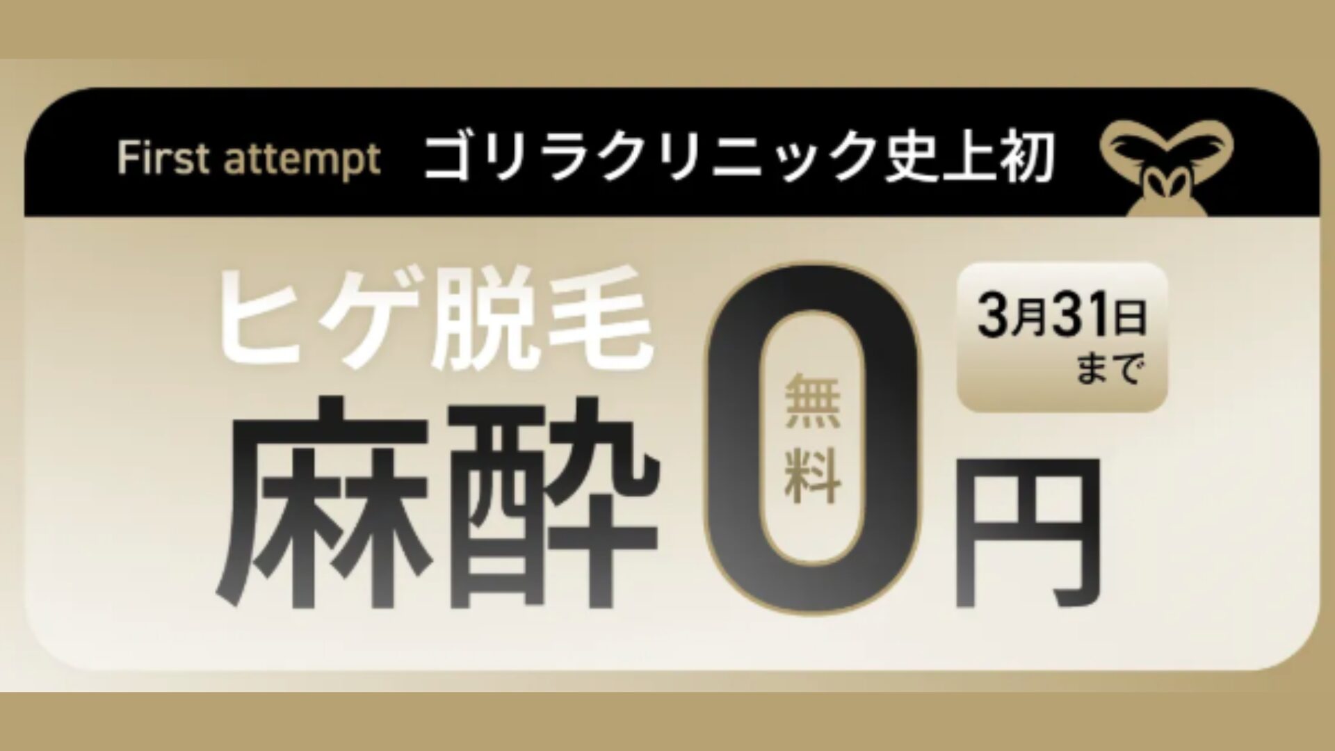 Gorilla Clinic Free Anesthesia Campaign