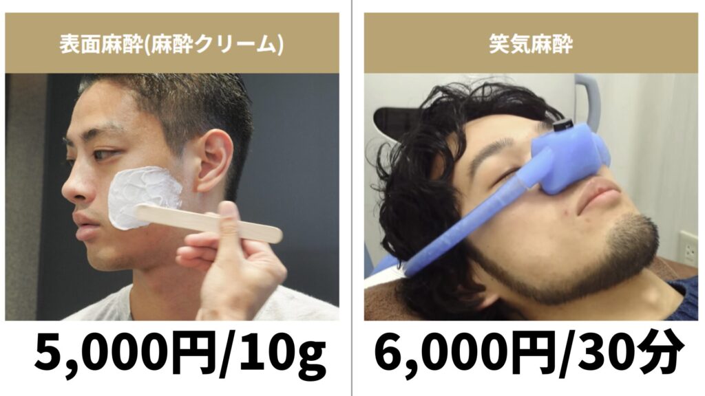 Gorilla Clinic Anesthesia Fees