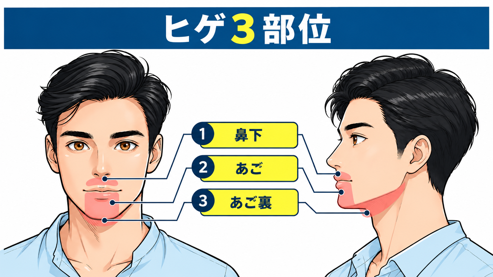 ヒゲ脱毛3部位の施術範囲
