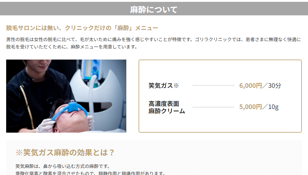 ゴリラクリニックの麻酔料金。笑気ガスは30分6,000円・高濃度表面麻酔クリームは10g5,000円
