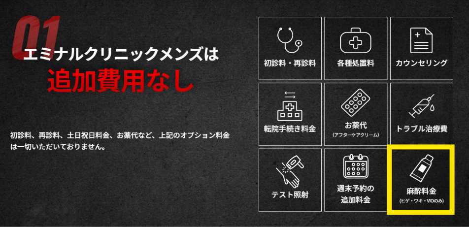 メンズエミナルは麻酔料金(ヒゲ・ワキ・VIO)などの追加費用がないことを示す公式サイトの画面